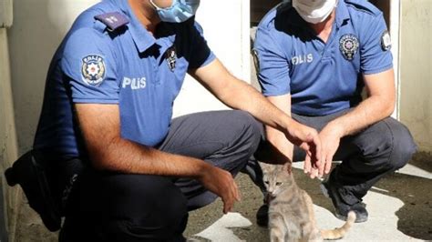 E­r­z­i­n­c­a­n­­d­a­ ­k­a­r­a­k­o­l­d­a­ ­d­o­ğ­u­r­a­n­ ­k­e­d­i­y­e­,­ ­p­o­l­i­s­ ­s­a­h­i­p­ ­ç­ı­k­t­ı­